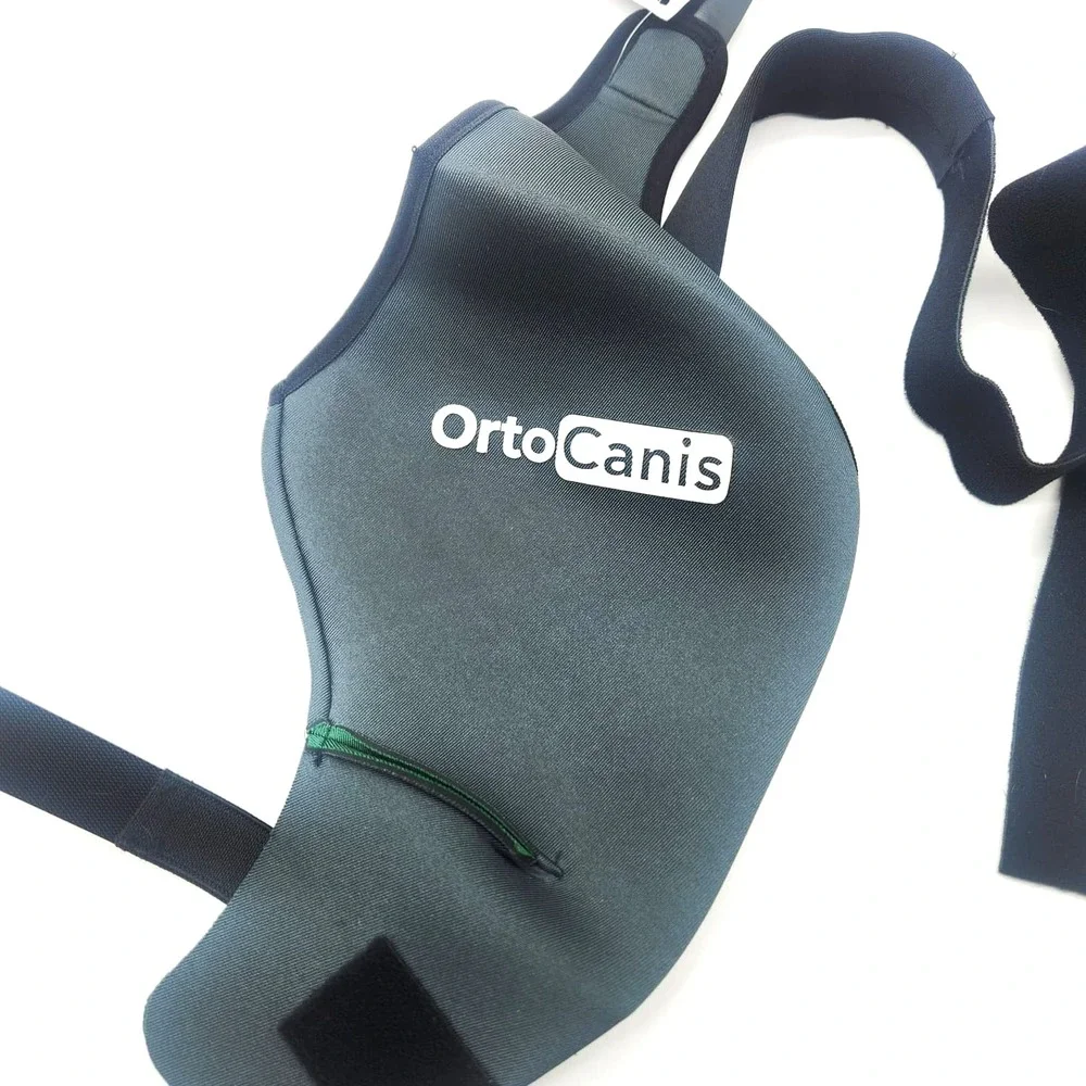 Large Size Dog Knee Brace for Right Hind Leg – Ortocanis ACL Support‎